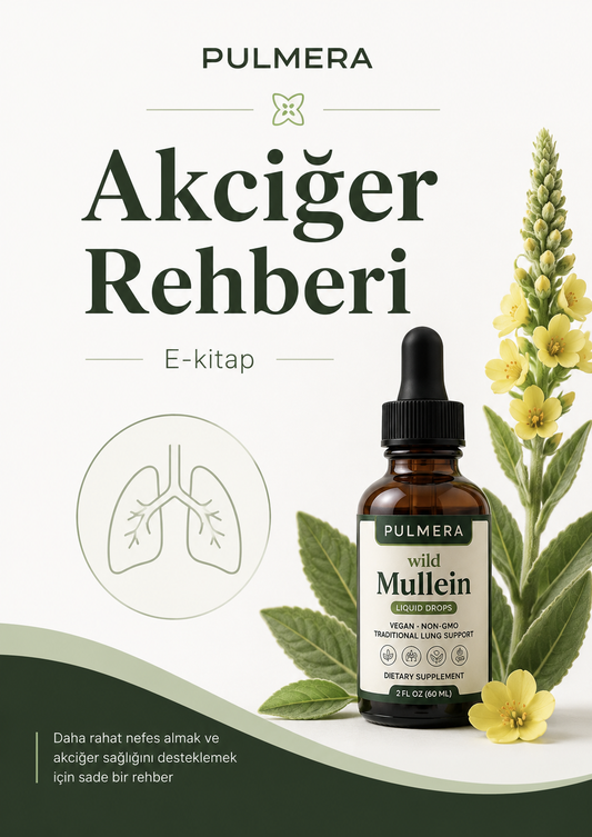 Akciğer Temizleme Rehberi E-Kitap